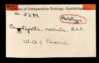 Media type: image;   Invertebrate Zoology OPH-5289 Aspect: labels